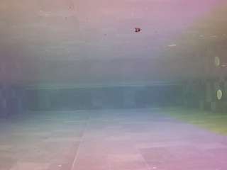 voyeurcam casa salsa pool 1